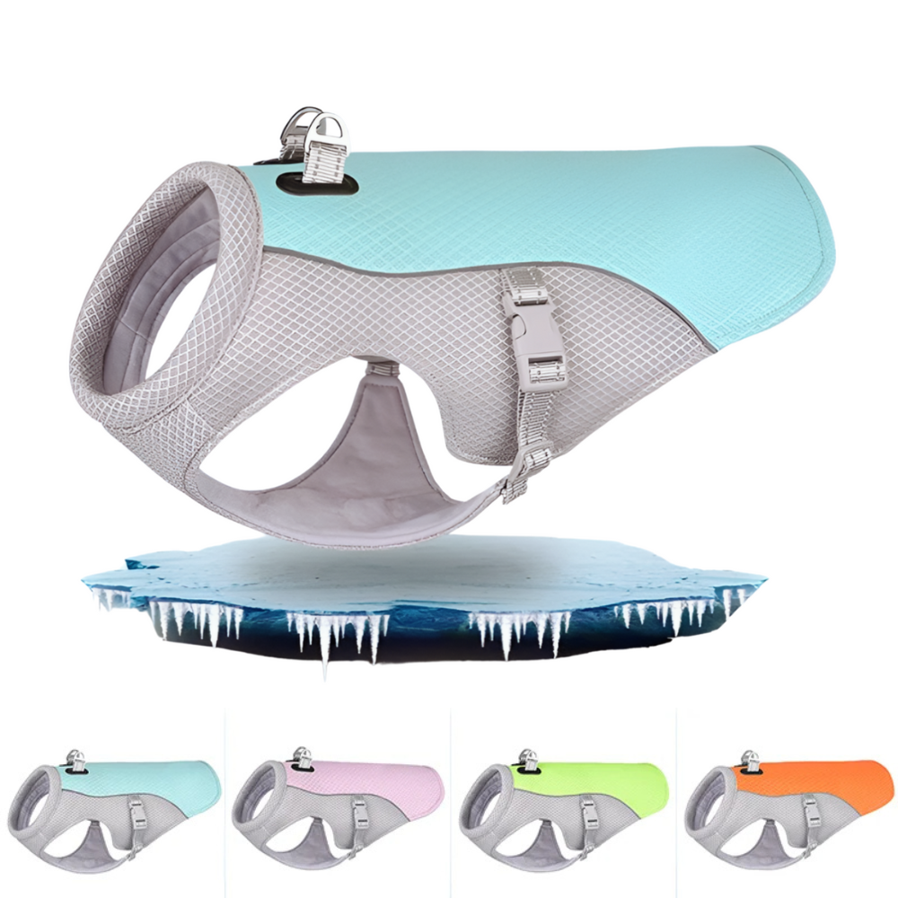 Dog Cooling Vest - Trend Finder