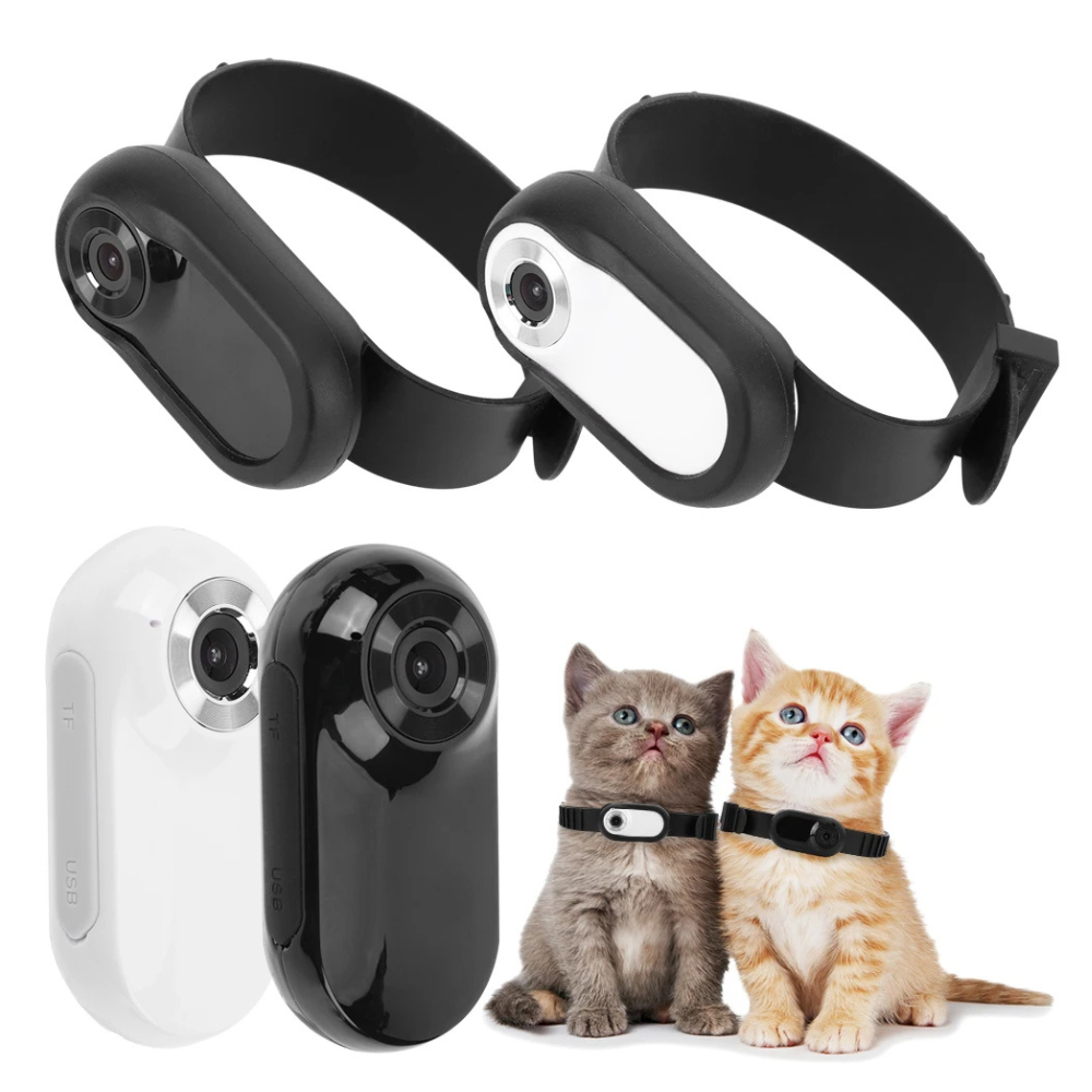 Pet Camera Collar - Trend Finder