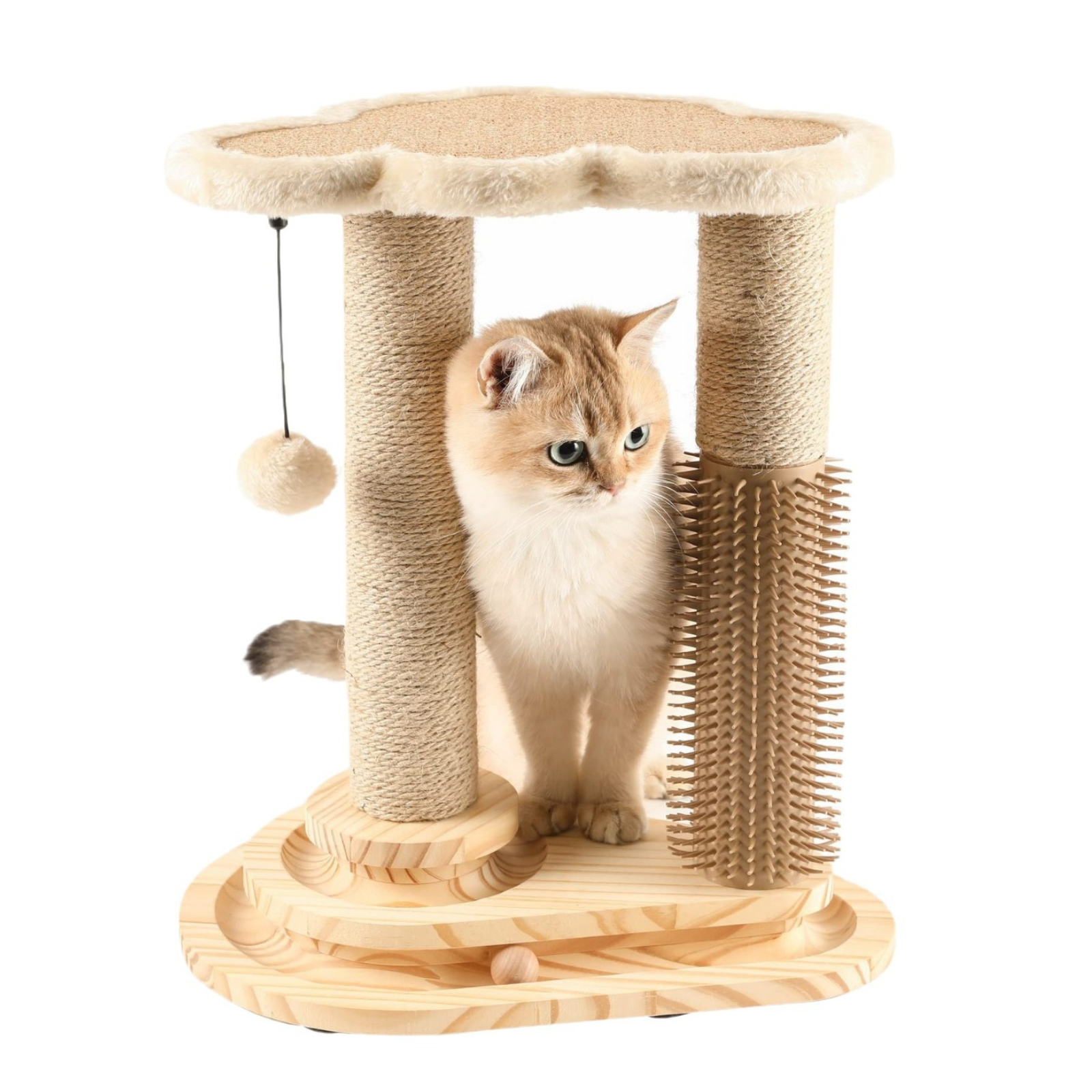 Cat Scratching Post - Trend Finder