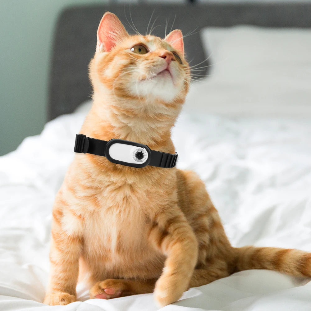 Pet Camera Collar - Trend Finder