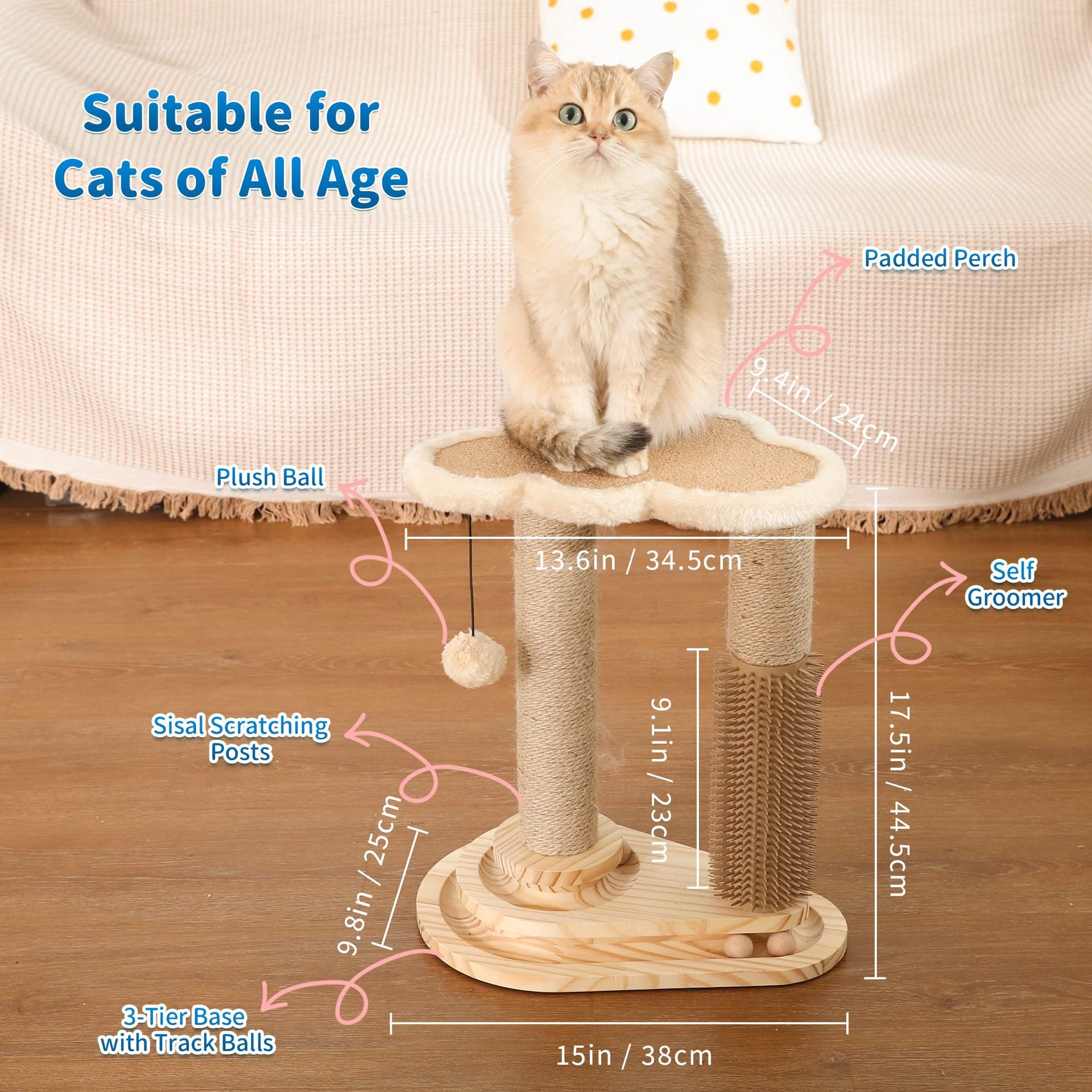 Cat Scratching Post - Trend Finder