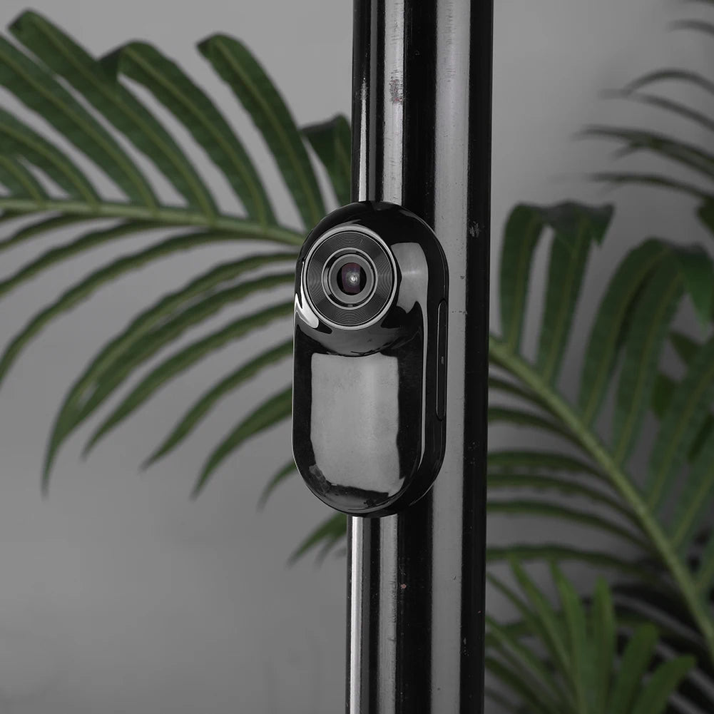 Pet Camera Collar - Trend Finder