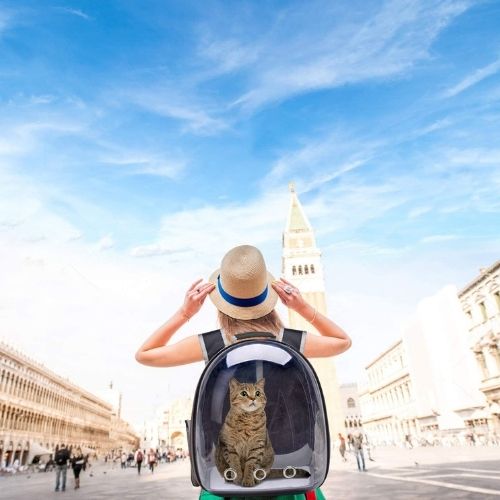 Cat Carrier Backpack - Trend Finder