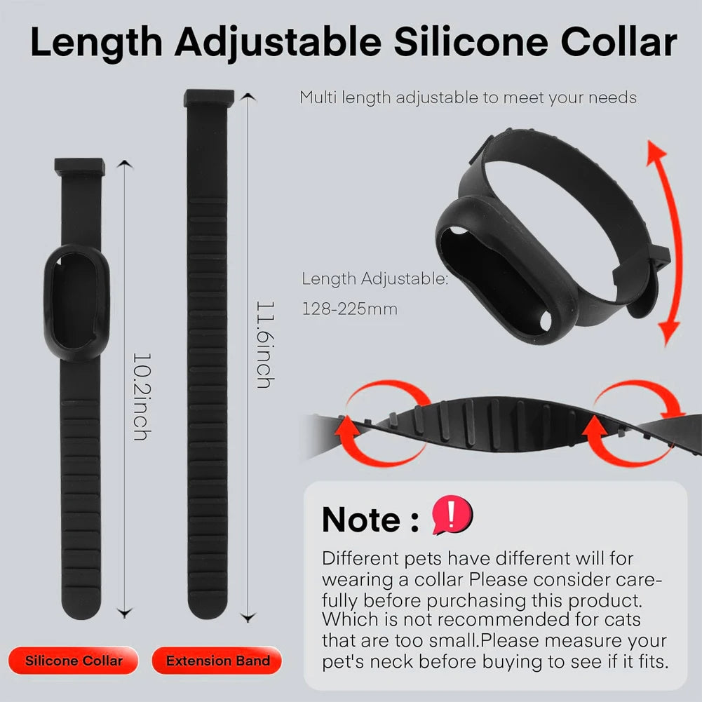 Pet Camera Collar - Trend Finder